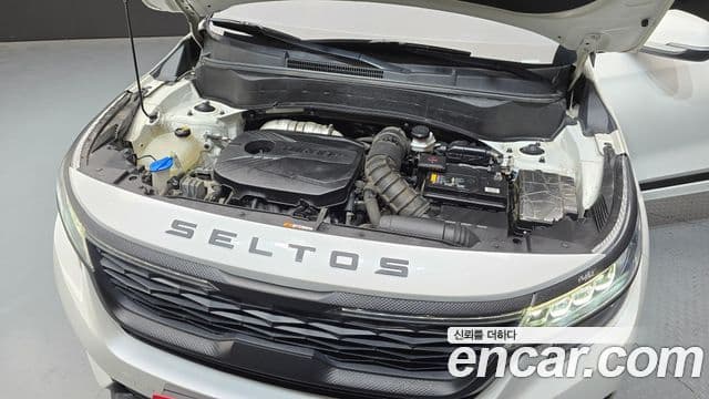 Kia Seltos Noblesse, 2020 6