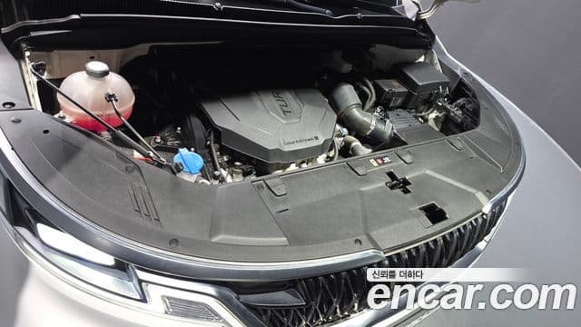 Kia Carnival 4세대 Noblesse, 2021 6