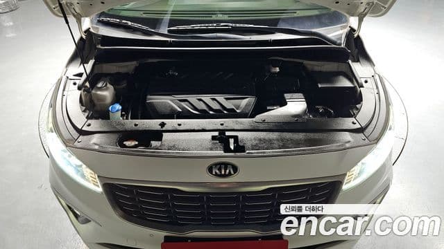 Kia The / новый New Carnival VIP, 2019 6