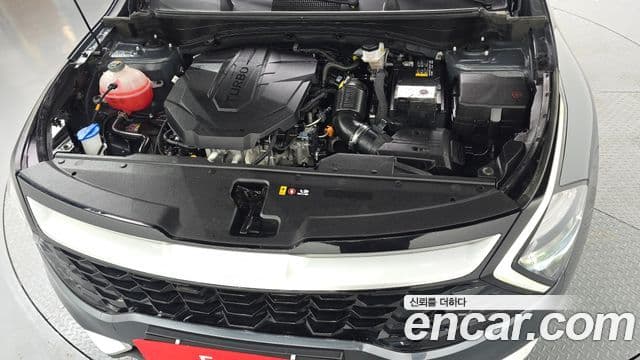 Kia Sportage 5세대 Prestige, 2022 6
