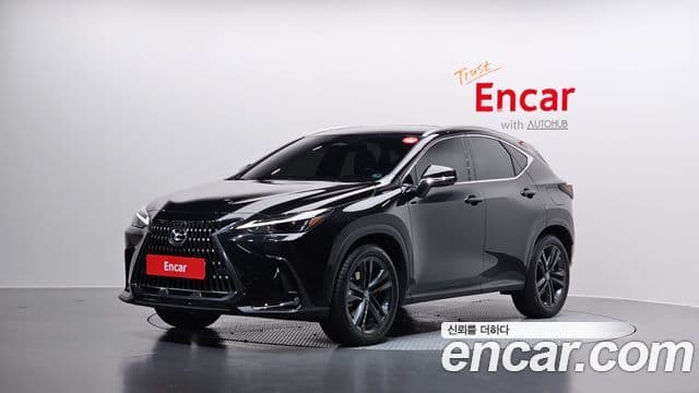 Lexus NX350h 2세대 Premium, 2025 1