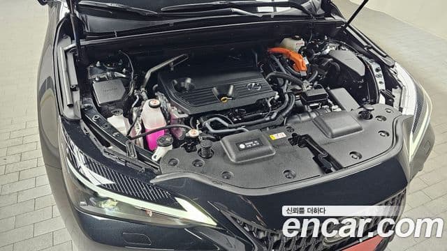 Lexus NX350h 2세대 Premium, 2025 6