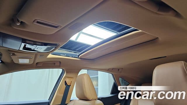Lexus NX350h 2세대 Premium, 2025 19