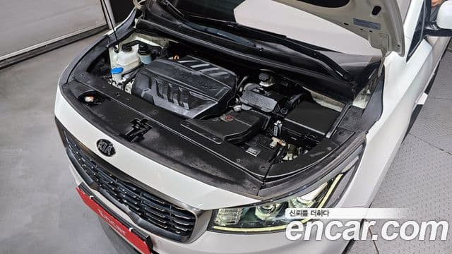 Kia The / новый New Carnival VIP, 2019 6