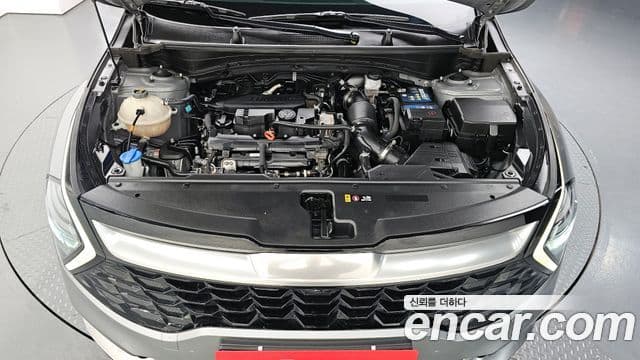Kia Sportage 5세대 Signature, 2022 6