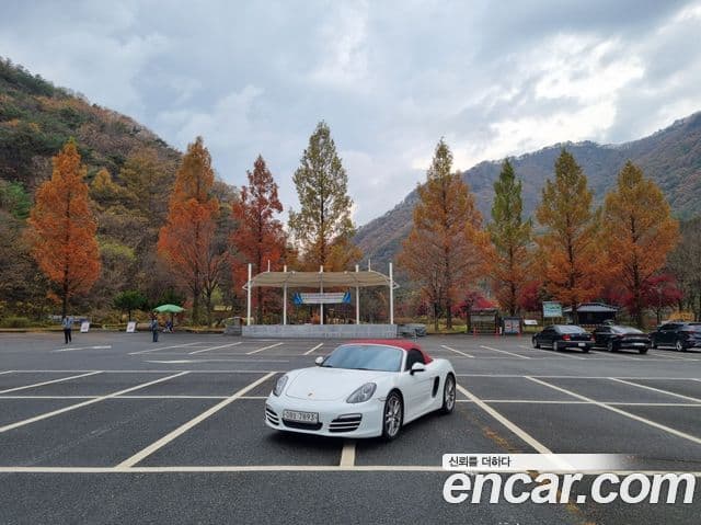 Porsche Boxster 981, 2013 2