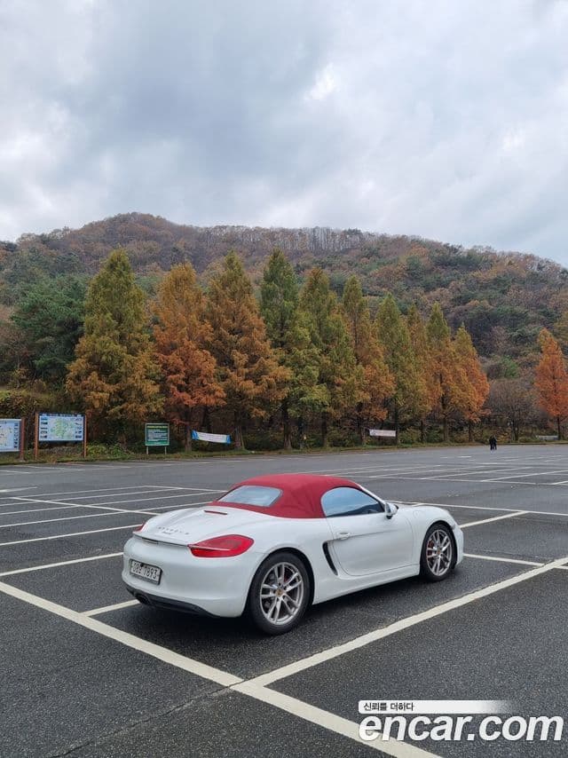 Porsche Boxster 981, 2013 3