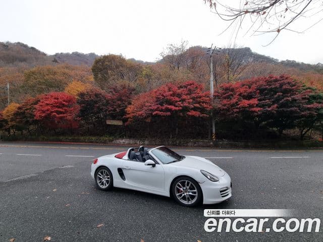 Porsche Boxster 981, 2013 4