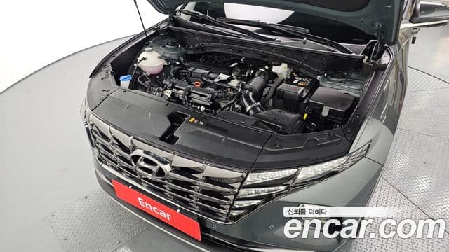 Hyundai Tucson (NX4) Inspiration, 2023 6