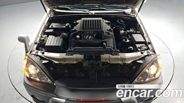 Hyundai 테라칸 топовая версия, 2003 6