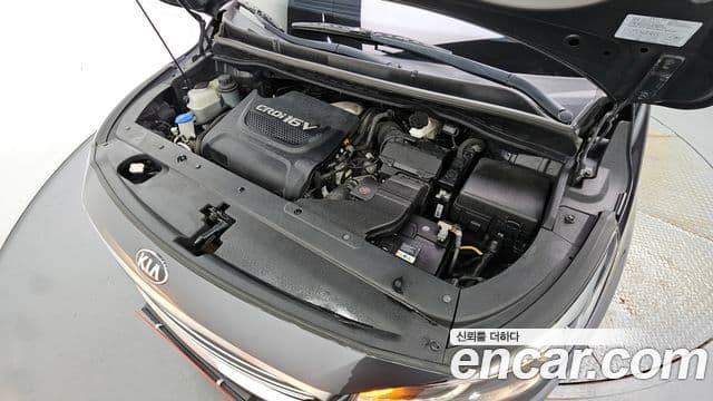 Kia All New Carnival Luxury, 2017 6