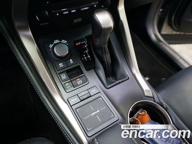 Lexus NX300h Executive, 2017 19