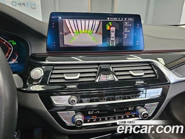 BMW 5시리즈 (G30) 530i Luxury Plus, 2020 12