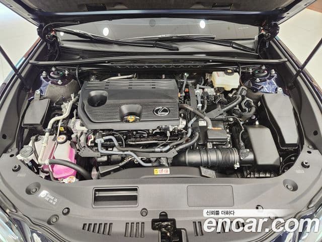 Lexus ES300h 7세대 Executive, 2026 6