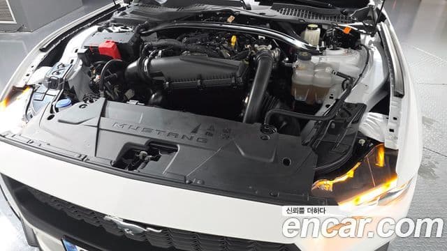 Ford Mustang 7세대 2.3 EcoBoost Premium купе, 2024 6