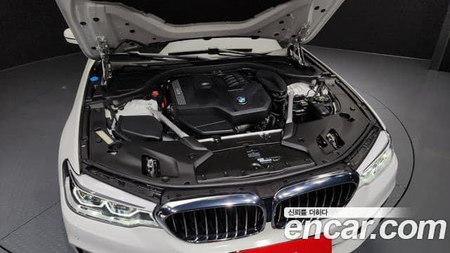 BMW 5시리즈 (G30) Luxury, 2020 6