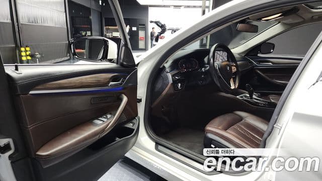 BMW 5시리즈 (G30) Luxury, 2020 10