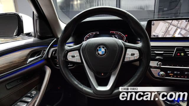 BMW 5시리즈 (G30) Luxury, 2020 13
