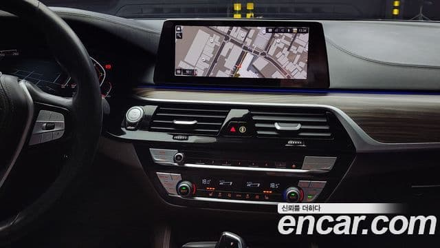 BMW 5시리즈 (G30) Luxury, 2020 15