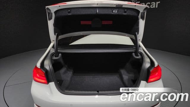 BMW 5시리즈 (G30) Luxury, 2020 20