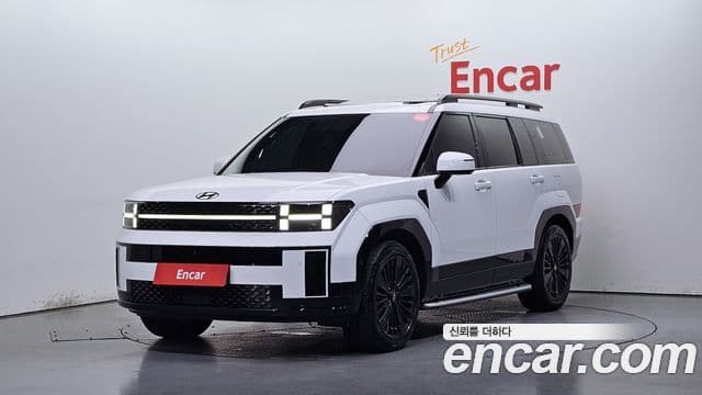 Hyundai Santa Fe (MX5) Calligraphy, 2024 1