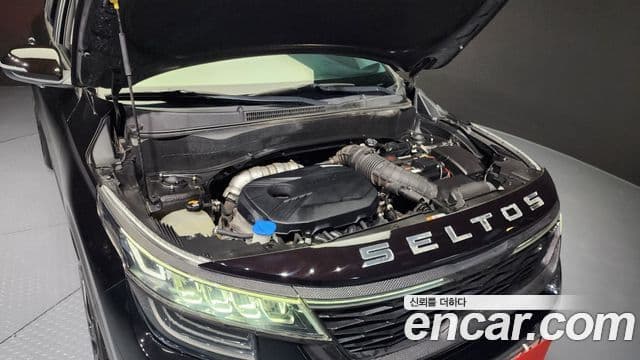 Kia Seltos Noblesse, 2020 6