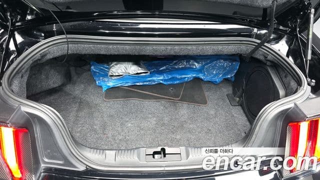 Ford Mustang GT кабриолет, 2019 20