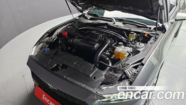 Ford Mustang 7세대 2.3 EcoBoost Premium кабриолет, 2024 6