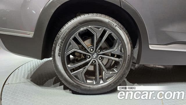 Hyundai Santa Fe TM Exclusive Special, 2019 все фото