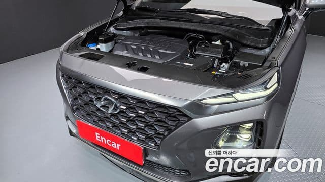 Hyundai Santa Fe TM Exclusive Special, 2019 6