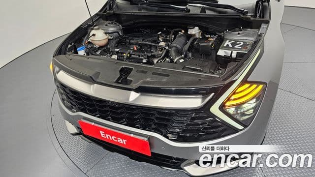 Kia Sportage 5세대 Signature, 2024 6