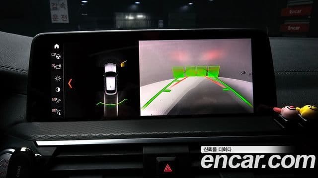 BMW X4 (G02) xDrive20d M Sport X, 2019 15