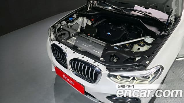 BMW X4 (G02) xDrive20i xLine, 2021 20