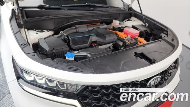 Kia Sorento 4세대 Noblesse, 2021 6