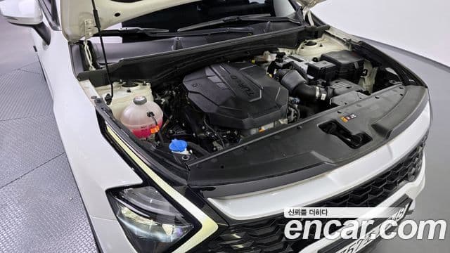 Kia Sportage 5세대 Prestige, 2022 6