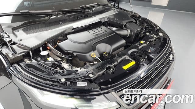 Land Rover Range Rover Evoque 2세대 P250 Dynamic SE, 2024 6