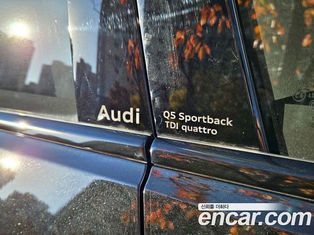 Audi Q5 (80A) 40 TDI Quattro S Line Sportback, 2025 19