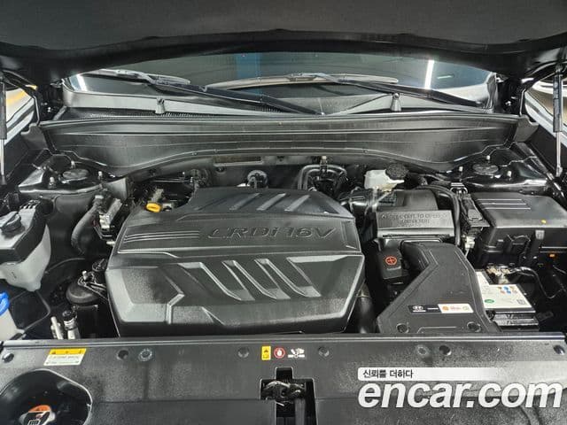 Hyundai Palisade Prestige, 2019 8