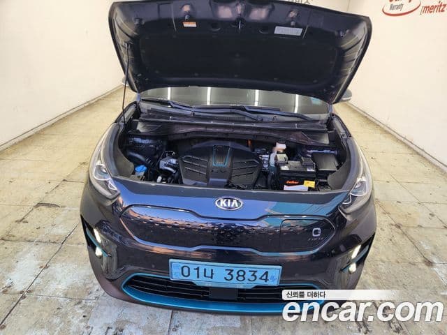 Kia Niro EV Noblesse, 2019 17