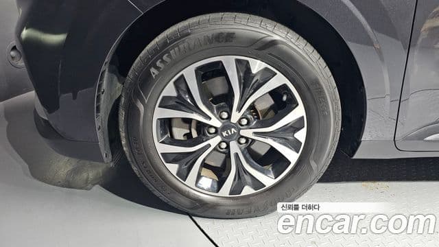 Kia Carnival 4세대 Prestige, 2021 все фото
