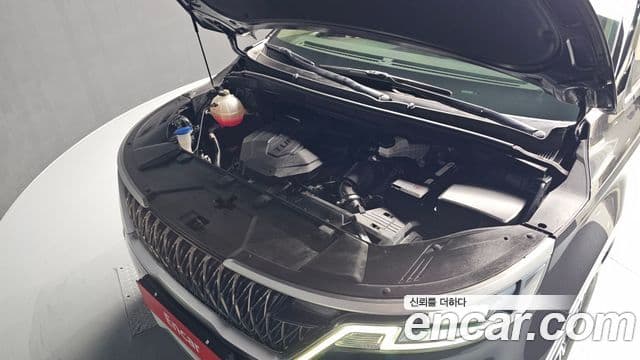 Kia Carnival 4세대 Prestige, 2021 6