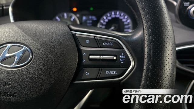 Hyundai Santa Fe TM Premium, 2019 17