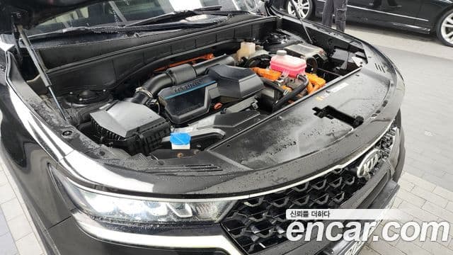Kia Sorento 4세대 Noblesse, 2021 6