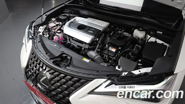 Lexus UX250h, 2024 6