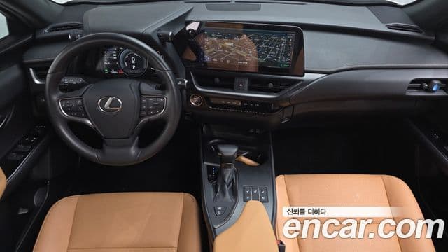 Lexus UX250h, 2024 7