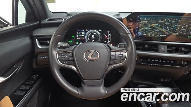Lexus UX250h, 2024 13