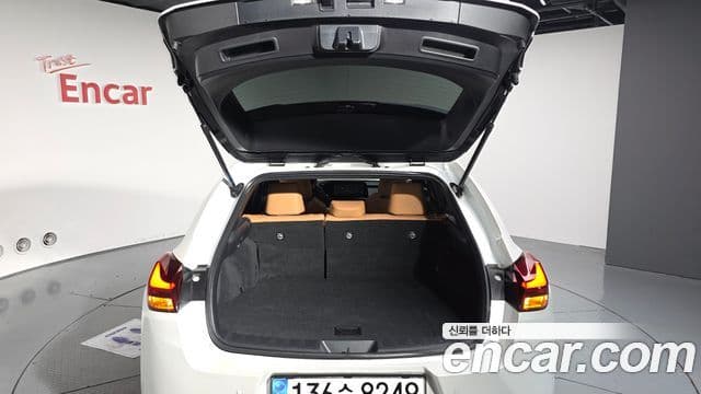 Lexus UX250h, 2024 20