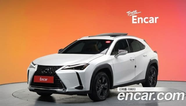 Lexus UX250h, 2024 1
