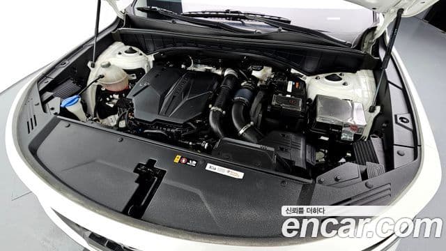 Kia Sorento 4세대 Trendy, 2022 6