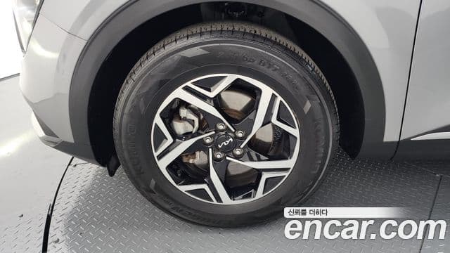 Kia Sportage 5세대 Trendy, 2022 все фото